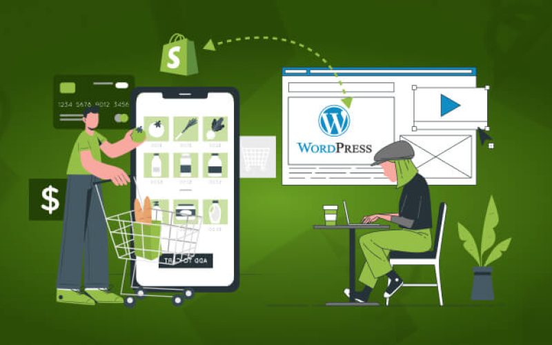 How to Develop Plugins for WordPress and Shopify and Make Money in 2025 ?